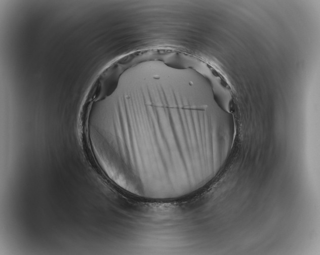 X0000088851024200707061029