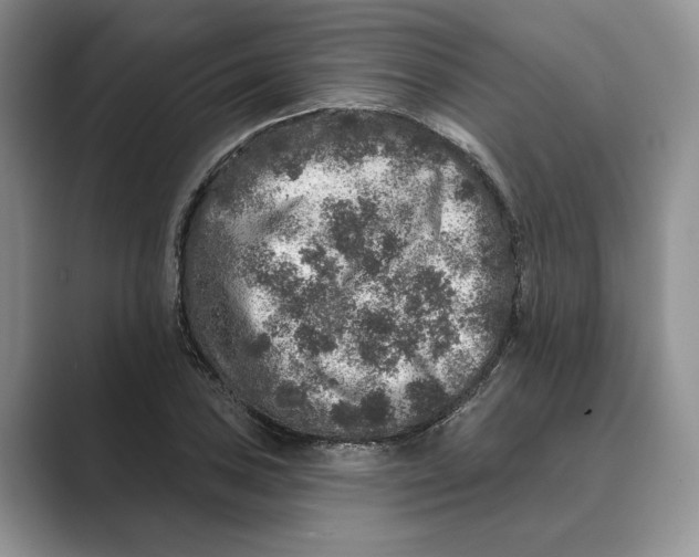 X0000088851027200707061029