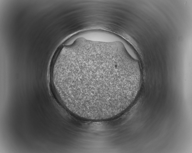 X0000088851028200707061029