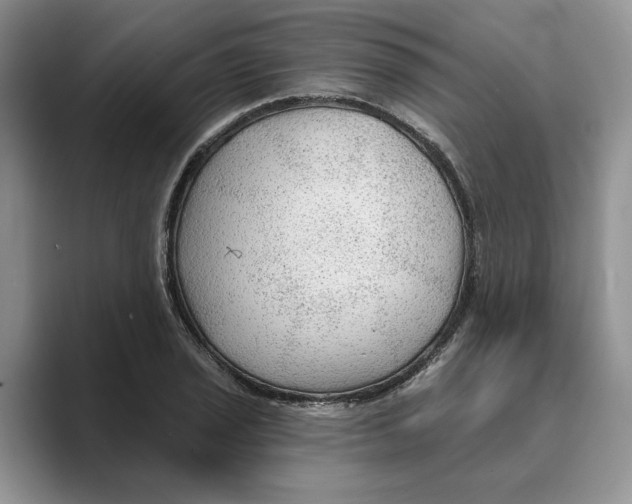 X0000088851029200707061029