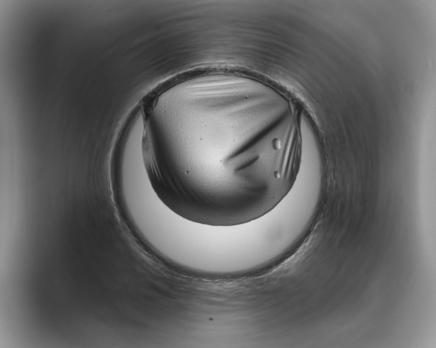 X0000088851030200707061029
