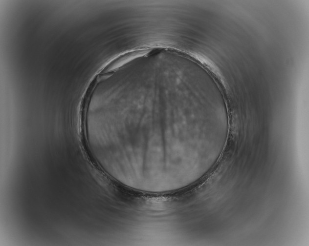 X0000088851031200707061029
