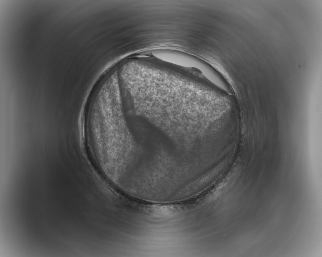 X0000088851032200707061029