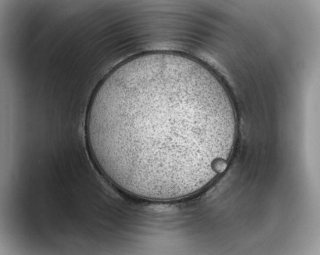 X0000088851033200707061029