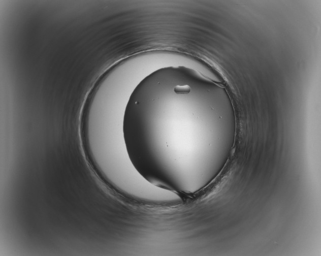 X0000088851034200707061029