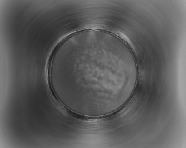 X0000088851035200707061029