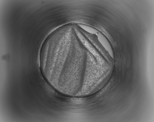 X0000088851036200707061029