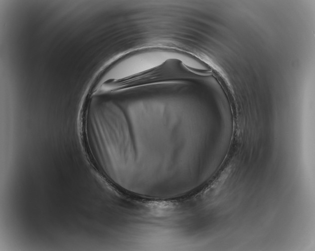 X0000088851037200707061029