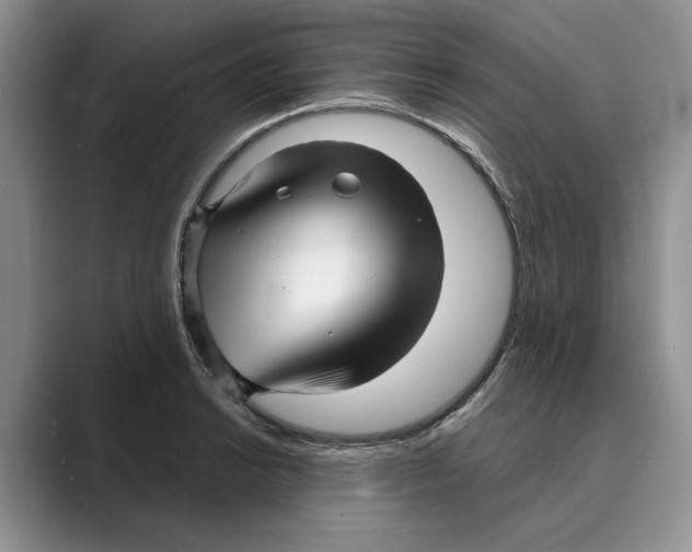X0000088851038200707061029