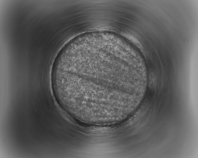 X0000088851039200707061029