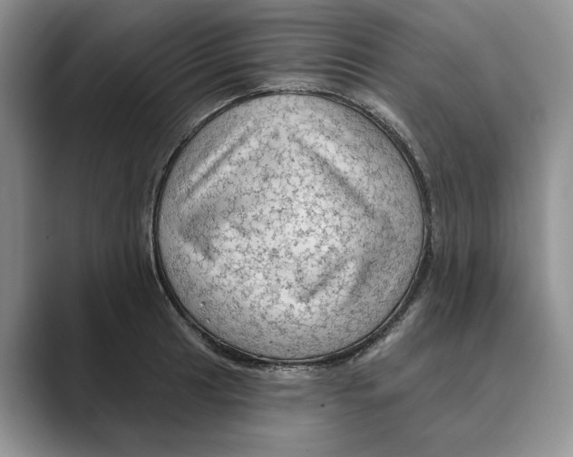 X0000088851041200707061029