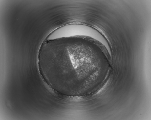 X0000088851042200707061029