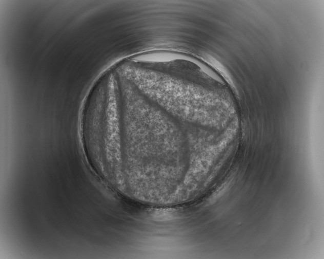 X0000088851043200707061029