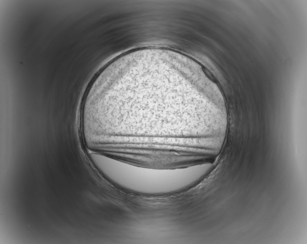 X0000088851044200707061029
