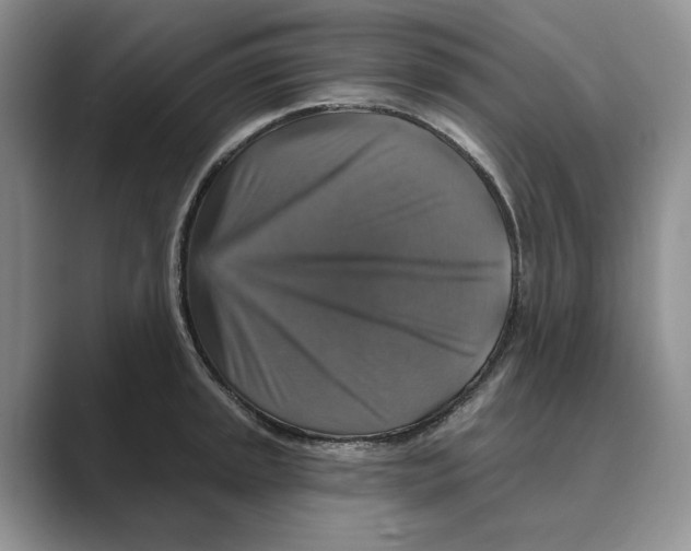 X0000088851045200707061029