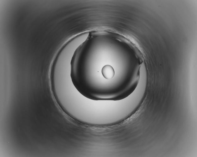 X0000088851046200707061029