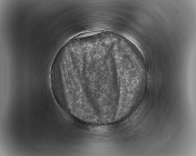 X0000088851047200707061029