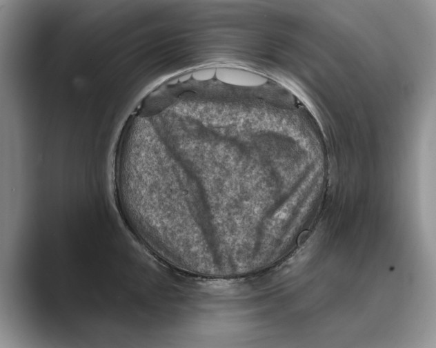 X0000088851048200707061029