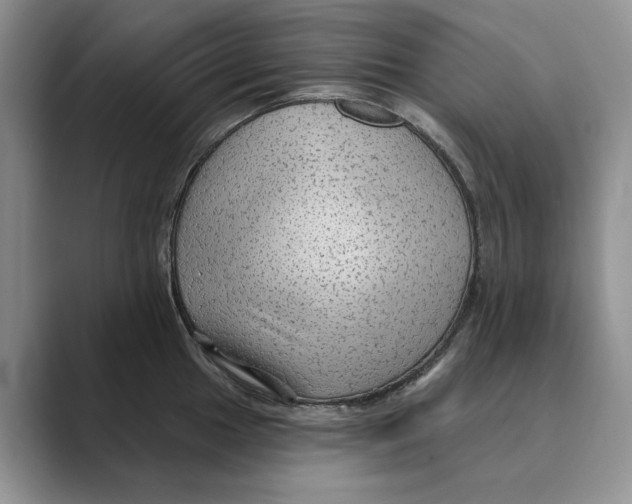 X0000088851049200707061029
