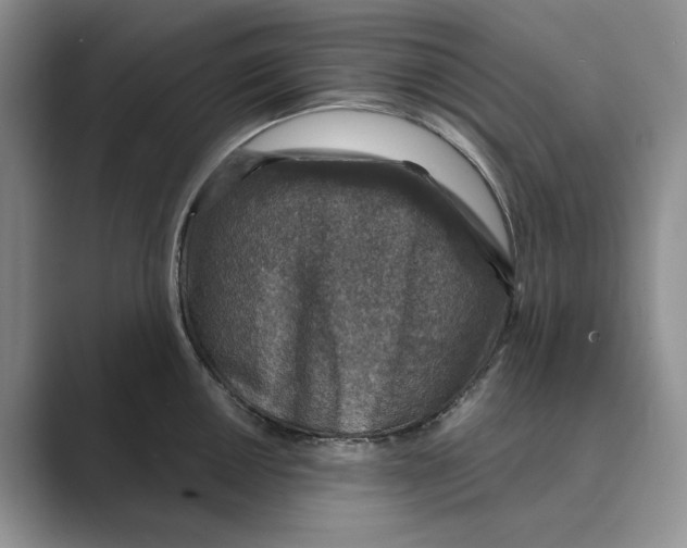 X0000088851050200707061029
