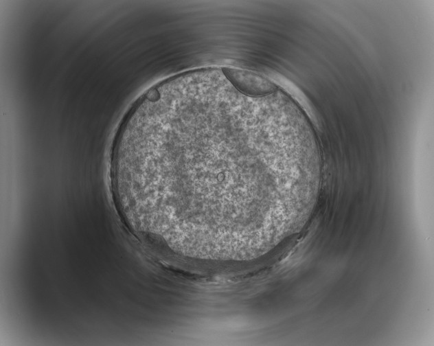 X0000088851051200707061029