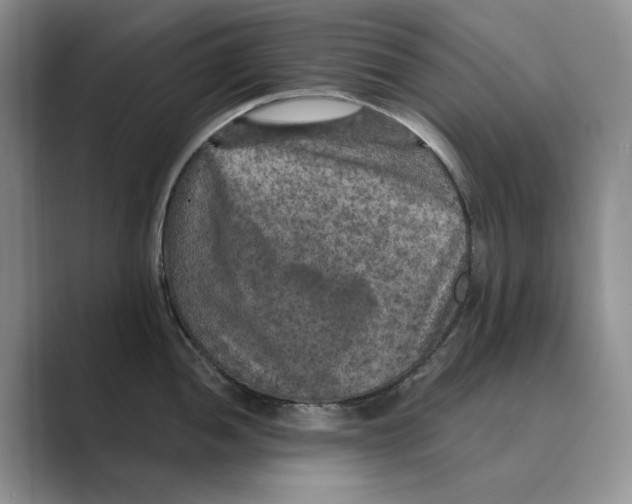 X0000088851052200707061029