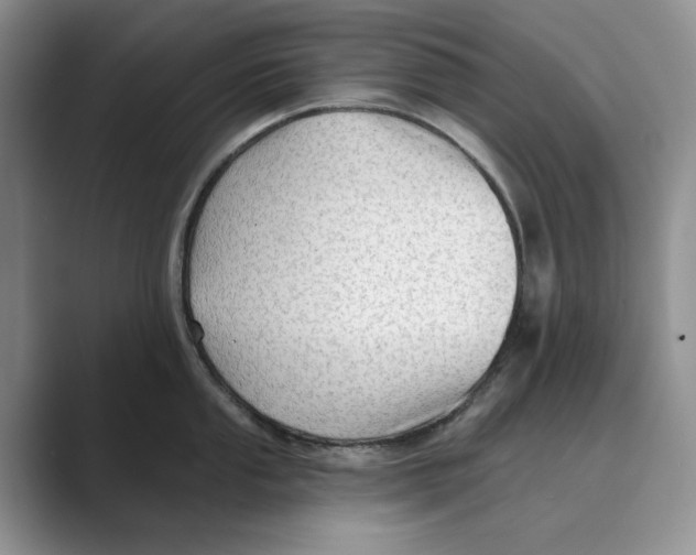 X0000088851053200707061029