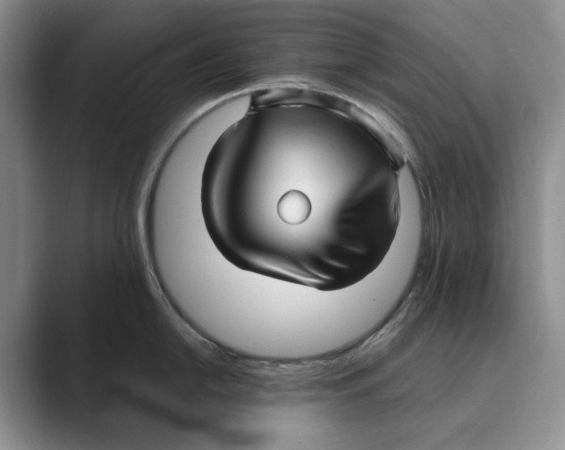 X0000088851054200707061029