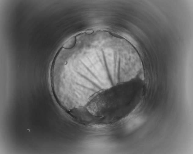 X0000088851055200707061029