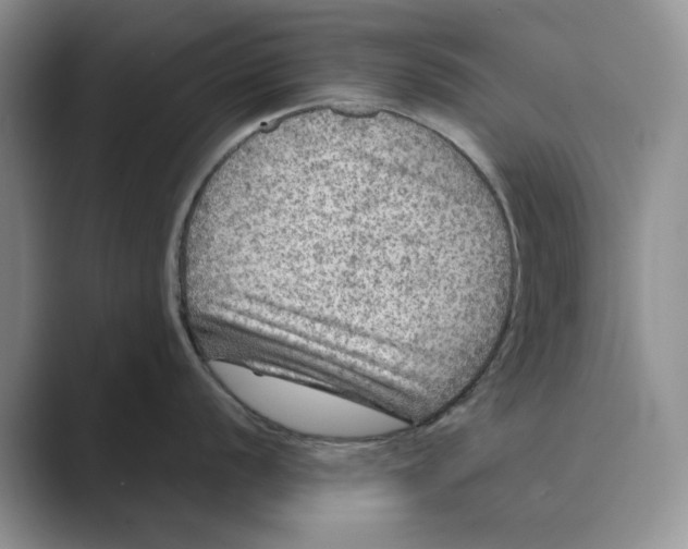 X0000088851056200707061029