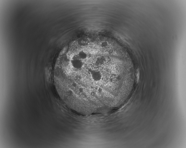 X0000088851059200707061029