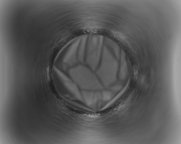 X0000088851060200707061029