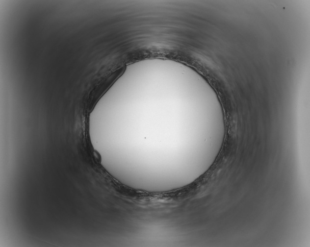 X0000088851061200707061029