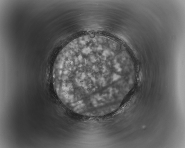 X0000088851063200707061029
