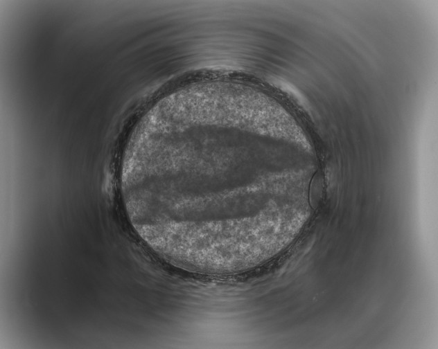 X0000088851064200707061029