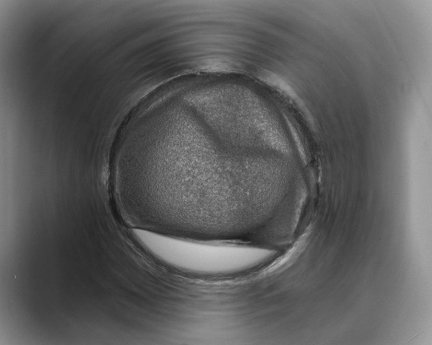 X0000088851065200707061029