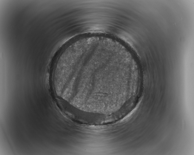 X0000088851066200707061029
