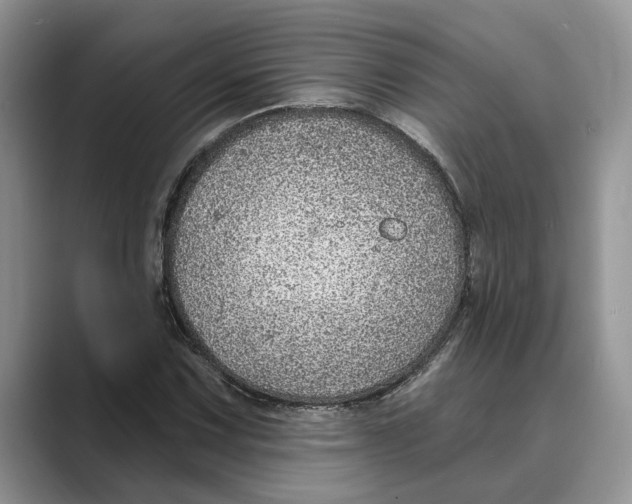 X0000088851067200707061028