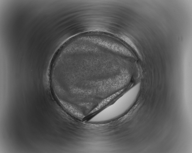 X0000088851068200707061028