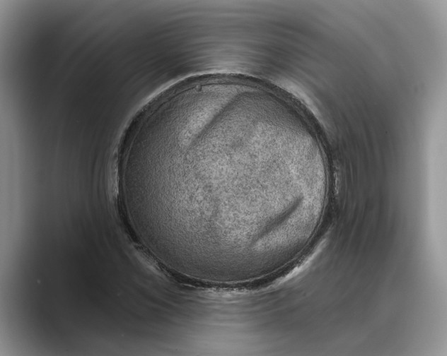 X0000088851069200707061028