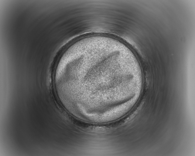 X0000088851070200707061028