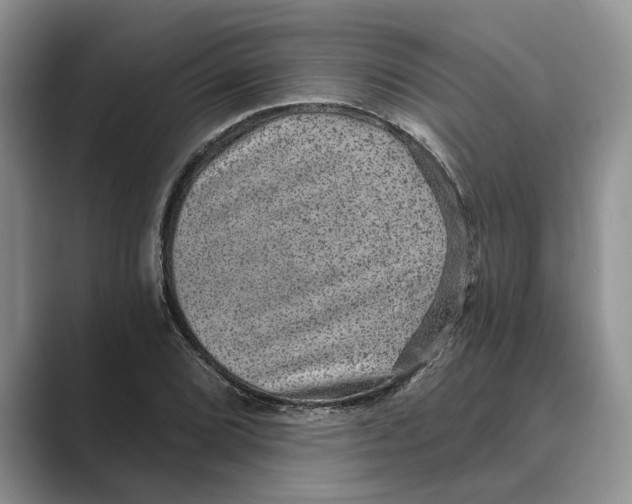 X0000088851072200707061028