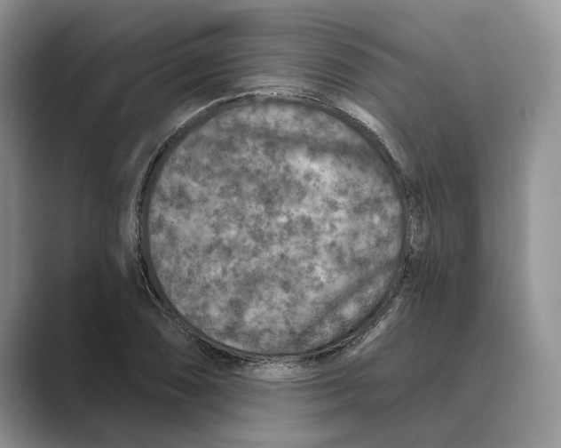 X0000088851074200707061028