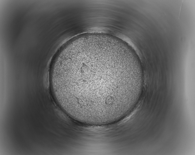 X0000088851075200707061028