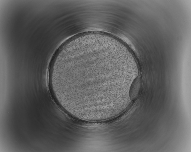 X0000088851076200707061028