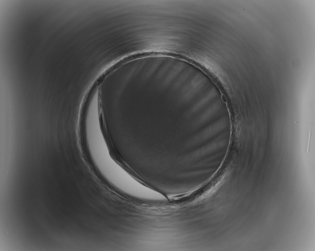 X0000088851077200707061028