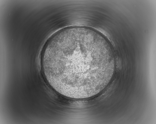 X0000088851078200707061028