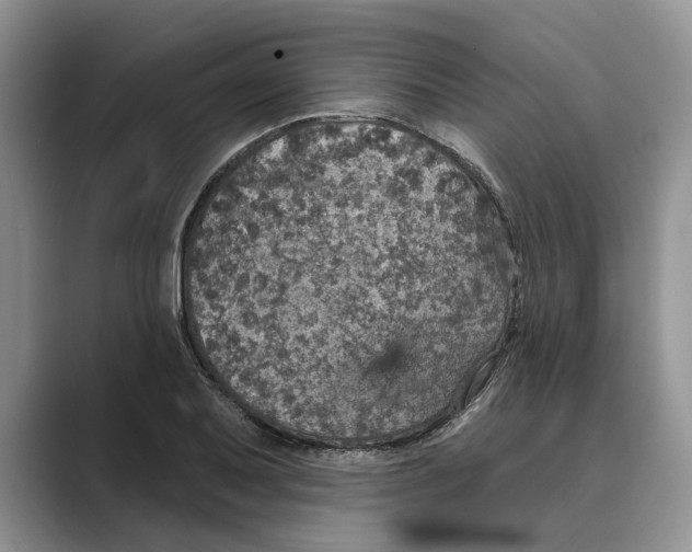 X0000088851079200707061028