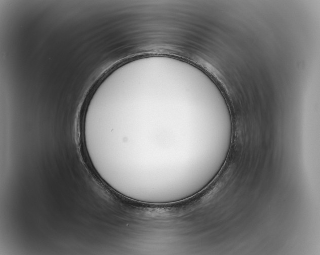 X0000088851082200707061028