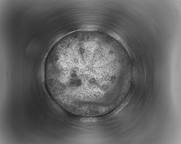 X0000088851083200707061028